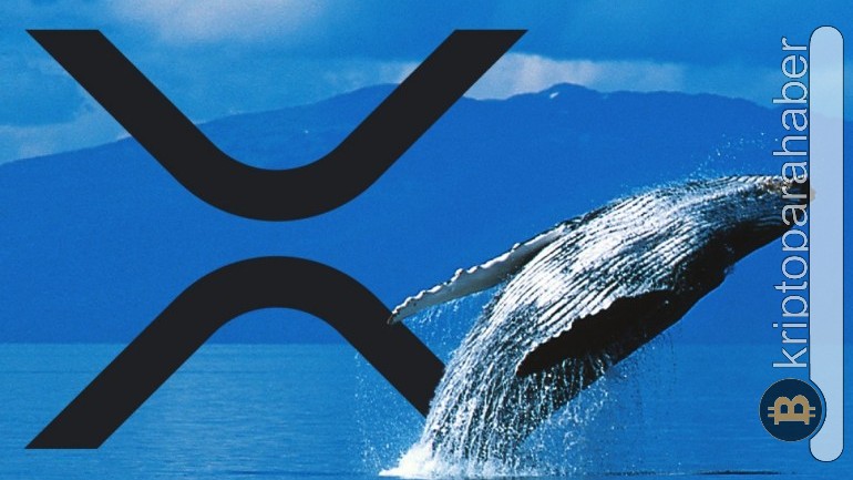 Piyasa düşerken büyük balinalar olağanüstü XRP transferi gerçekleştirdi! İşte detaylar