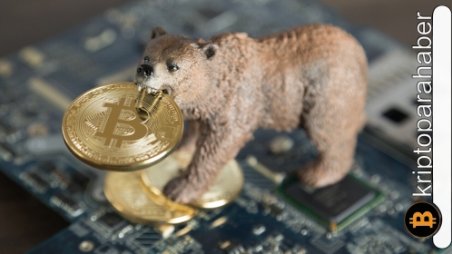 Kripto paralar ayı piyasasında! Peki bu dönemde yatırımcıların yapması gereken 4 şey nedir?