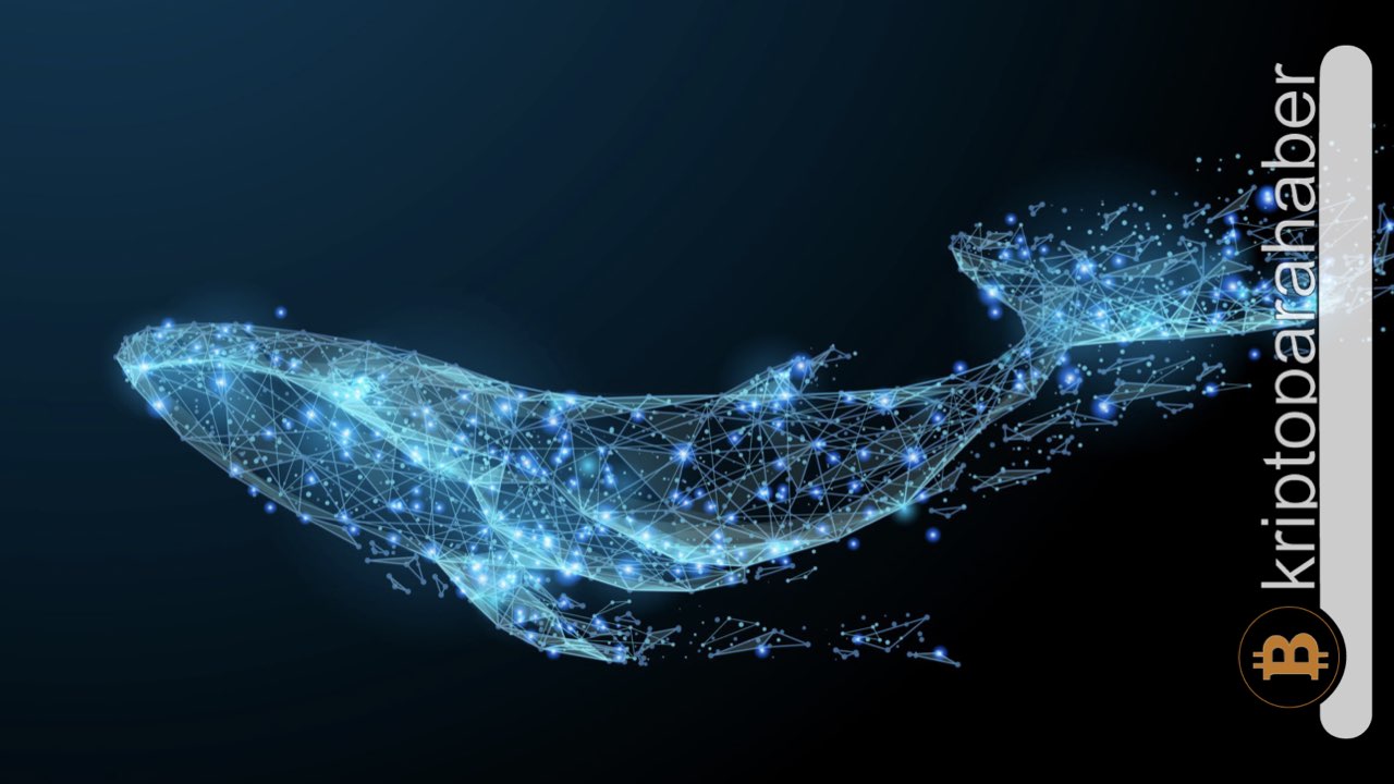 Flaş: 2 trilyonluk Shiba balinası başka altcoinlere yöneliyor ve fiyatları uçuruyor!