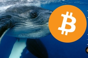 Mega balina uyandı: 11 yıl sonra uyanan balina ne kadar BTC aktardı?