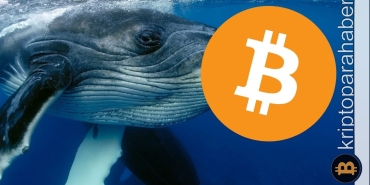 Mega balina uyandı: 11 yıl sonra uyanan balina ne kadar BTC aktardı?