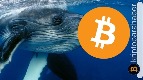 Mega balina uyandı: 11 yıl sonra uyanan balina ne kadar BTC aktardı?