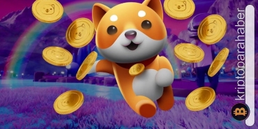 BabyDoge yüzde 30'un üzerinde yükseldi! Meme coin'i etkileyen 2 faktör belli oldu