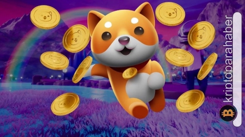 BabyDoge yüzde 30’un üzerinde yükseldi! Meme coin’i etkileyen 2 faktör belli oldu