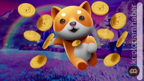 Baby Doge, rakibi Shiba Inu’nun ardından Metaverse’e girmeye hazırlanıyor!