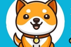 Babydoge son durum: Fiyat düzeltmeyi bitirdi mi?