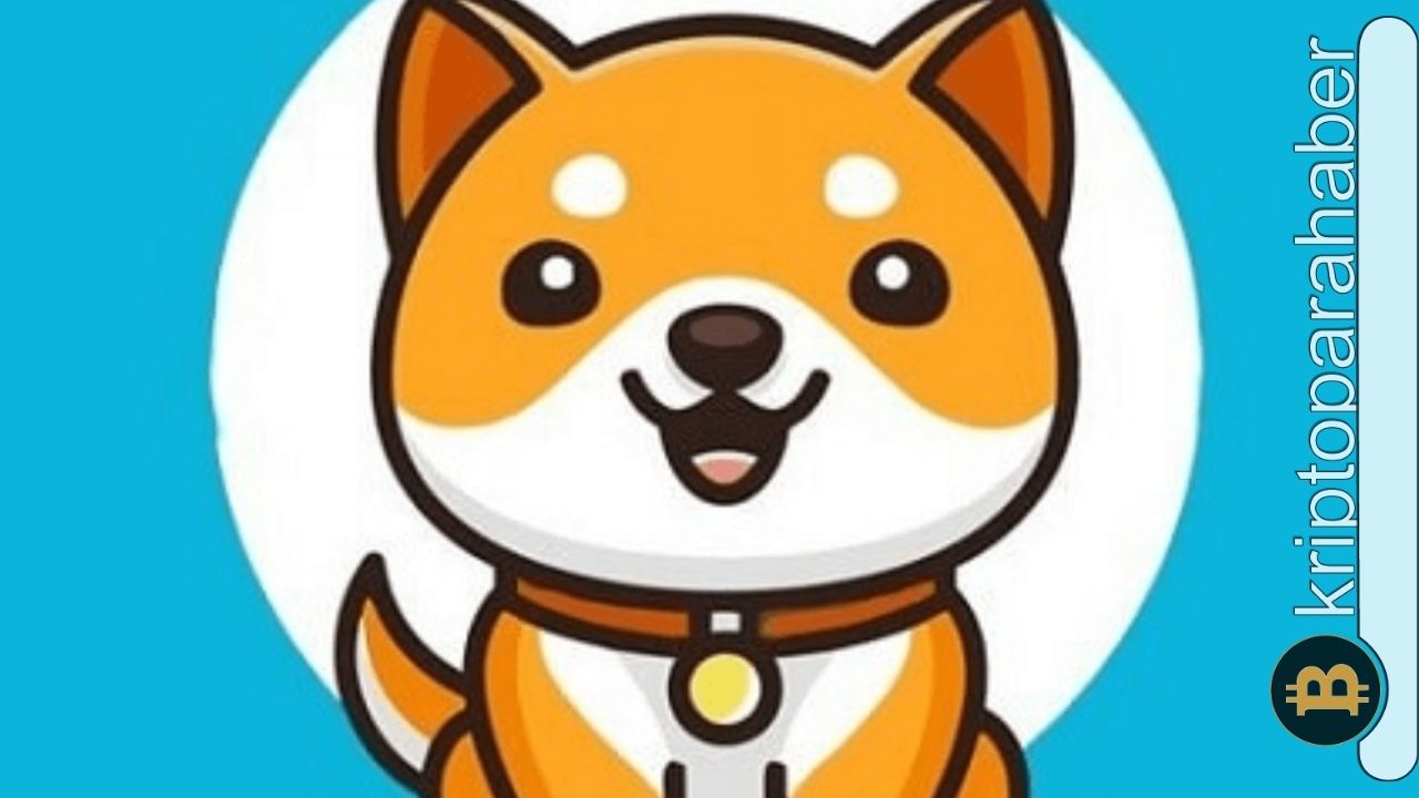 Babydoge son durum: Fiyat düzeltmeyi bitirdi mi?