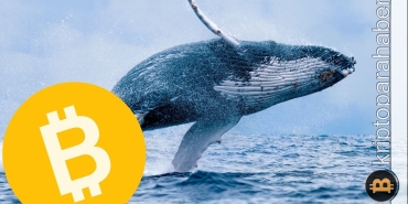 Bitcoin adresleri daha çok mu dip arıyor?