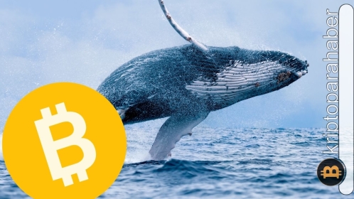 Bitcoin adresleri daha çok mu dip arıyor?