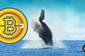 Bitcoin balina faaliyetlerinde yaşan düşüş fiyatı etkileyecek mi?