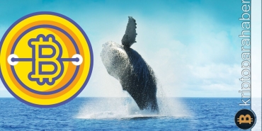 Bitcoin balina faaliyetlerinde yaşan düşüş fiyatı etkileyecek mi?