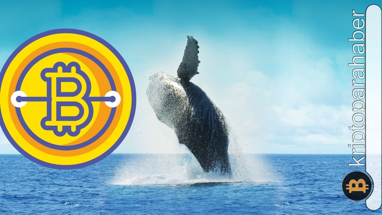 Bitcoin balina faaliyetlerinde yaşan düşüş fiyatı etkileyecek mi?