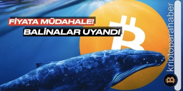 Bitcoin balinaları mı geliyor?