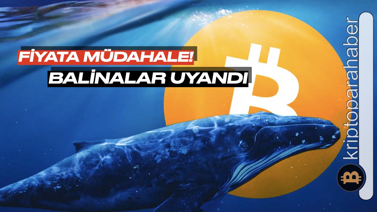 Bitcoin balinaları mı geliyor?