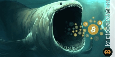 Faiz artışından sonra Bitcoin balinaları ne alemde? Aç gözlülük var mı?