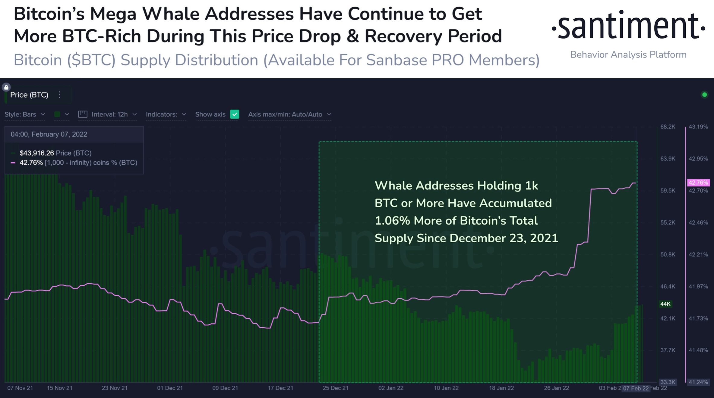 Bitcoin büyük balinaları birikim sürdürdü