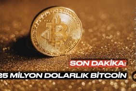 Son dakika: 25 milyon dolarlık Bitcoin satın aldılar!