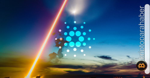 Cardano ağı, yeni bir TVL rekoru kırdı! Analistler ADA için ne öngörüyor?