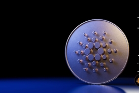 Altcoin 2022 yılının genelinde popülerliğini kaybetti: Ticaret kaybı fazla oldu