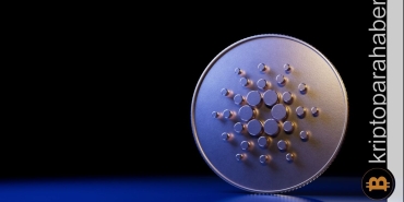 Altcoin 2022 yılının genelinde popülerliğini kaybetti: Ticaret kaybı fazla oldu