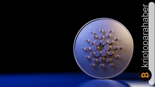 Altcoin 2022 yılının genelinde popülerliğini kaybetti: Ticaret kaybı fazla oldu