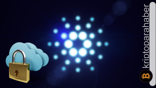 Cardano’nun tanıttığı DeFi platformu SundaeSwap, iyi başlangıç yaptı