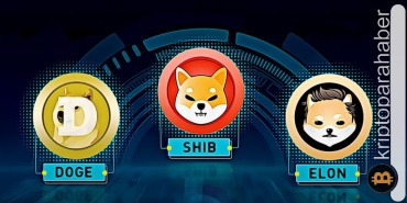 Ethereum balinaları neden bu meme coini satın alıyor?