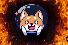 Shiba topluluğu, transfer işleminde 600 milyon yakım gerçekleştirdi