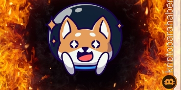 Shiba topluluğu, transfer işleminde 600 milyon yakım gerçekleştirdi