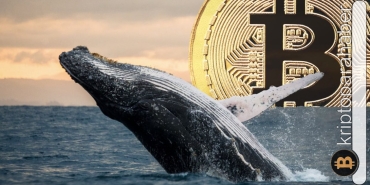 En yaşlı Bitcoin balinaları uyanıyor
