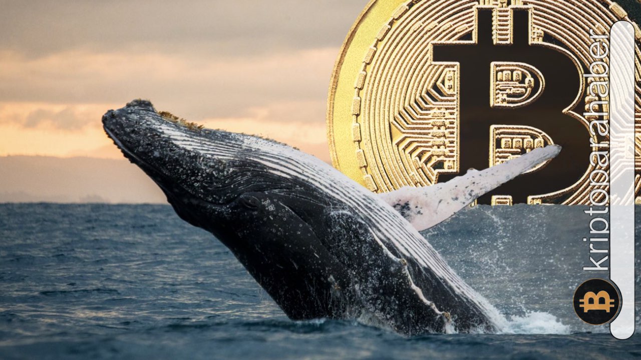 En yaşlı Bitcoin balinaları uyanıyor