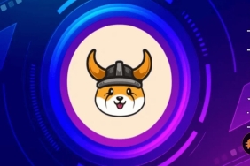 Floki fiyat analizi: Alım fırsatı hangi seviyelerde var?