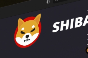Topluluk yolunu gözlüyor: Shiba coin yeni haftada sıçrama yapabilecek mi?