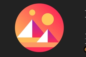 MANA fiyatı için risk kapıda mı Fiyat nereye gidecek?