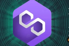 MATIC 5 dolara ulaşırsa, yatırımcıların 100 doları ne kadar olacak?