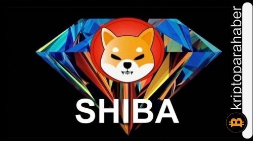 Shiba Inu mevcut destek noktasında tutunabilirse daha yüksek seviyeler kapıda!