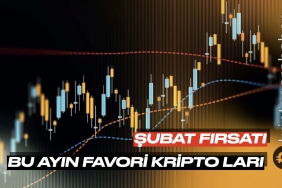 Şubat ayında fırsat sunabilecek en iyi iki kripto para!
