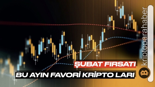 Şubat ayında fırsat sunabilecek en iyi iki kripto para!