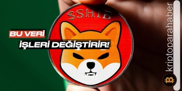 Shiba Inu balinaları ayaklandı