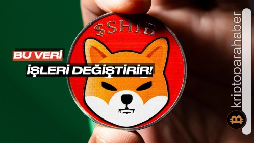 Shiba Inu balinalarından inanılmaz bir veri geldi! Fiyat için sırada bu var