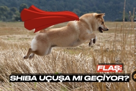 Rüzgarı arkasına alan Shiba Inu uçuşa mı hazırlanıyor?