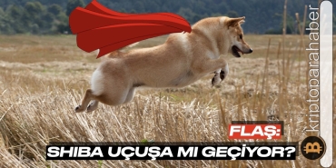 Rüzgarı arkasına alan Shiba Inu uçuşa mı hazırlanıyor?
