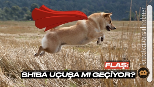 Rüzgarı arkasına alan Shiba Inu uçuşa mı hazırlanıyor?