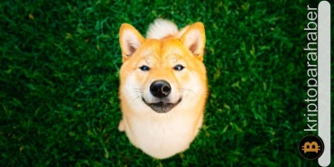 Shiba Inu temalı bu yeni meme coin bir günde %2800 sıçradı!