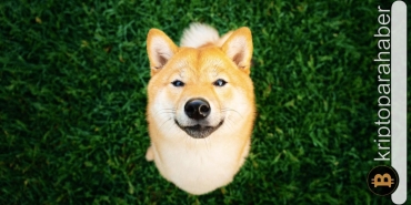 Shiba Inu yükselmeye devam edecek mi?
