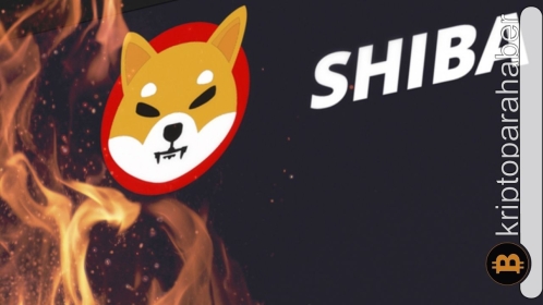 Son günlerde yakılan Shiba miktarı 1 milyara yaklaştı