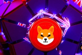 Shiba ile Internet Computer arasında önemli birliktelik…