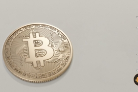 Whale Alert, bilinmeyen cüzdanda çalıntı Bitcoin tespit etti