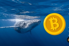 BTC yaprak dökümü yaşarken kripto balinaları toplama peşinde mi?
