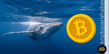 BTC yaprak dökümü yaşarken kripto balinaları toplama peşinde mi?